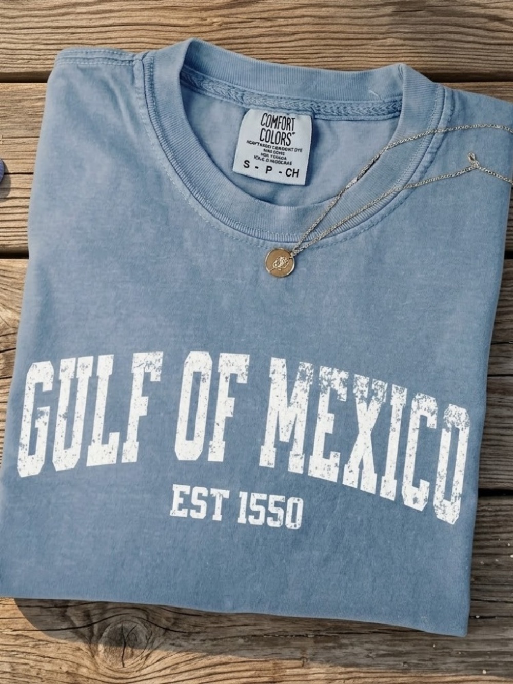 Comfort Colors Gulf of Mexico EST 1550 Subtle Protest Tee Political Tee
